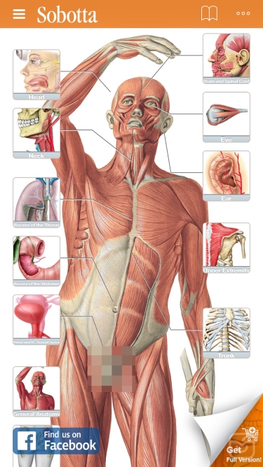 تصاویر Sobotta Anatomy