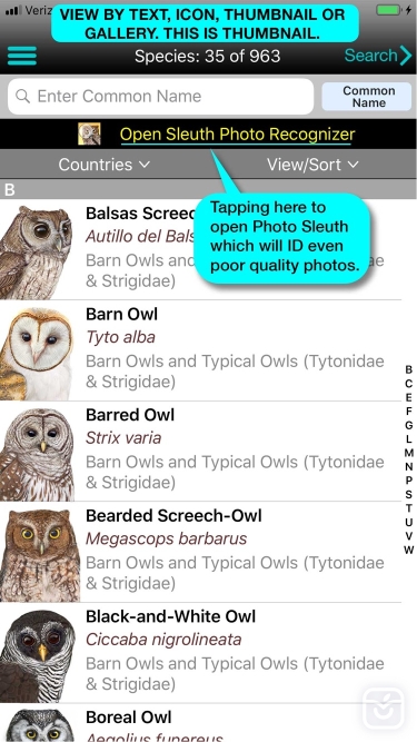 تصاویر iBird Pro Guide to Birds ++