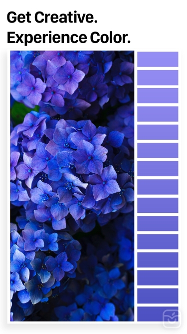 تصاویر Palette Republic ++