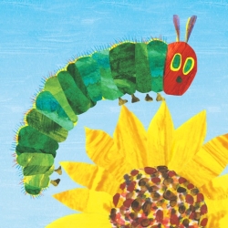 لوگو Hungry Caterpillar Play School