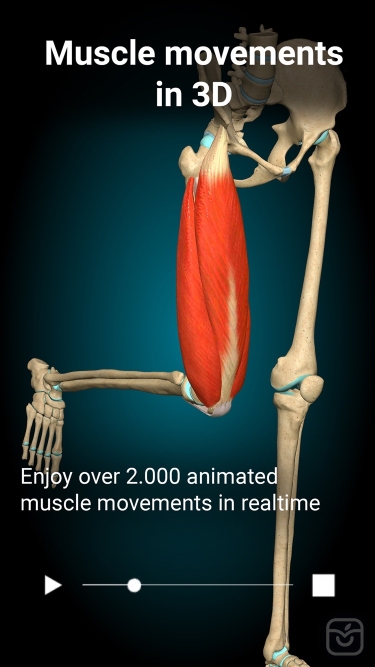 تصاویر Anatomy Learning - 3D Anatomy ++