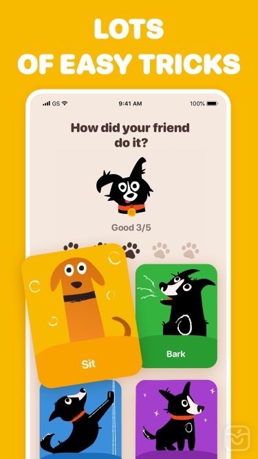 تصاویر Woofz: Dog Training