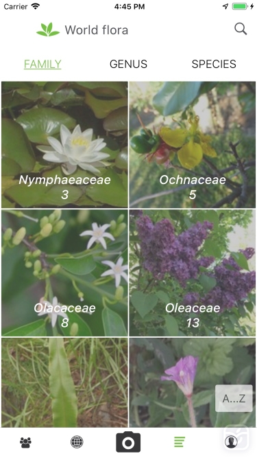 تصاویر PlantNet|گیاه شناسی