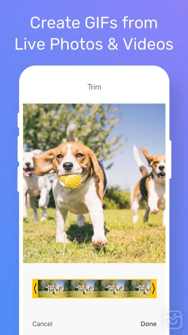 تصاویر GIF Maker by Momento ++