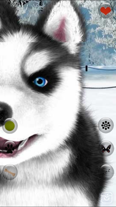 تصاویر Talking Dog Virtual Pet Husky