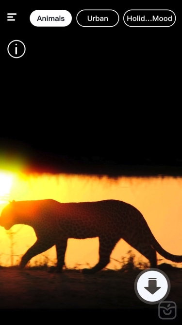 تصاویر Joy-Live Wallpaper Maker HD