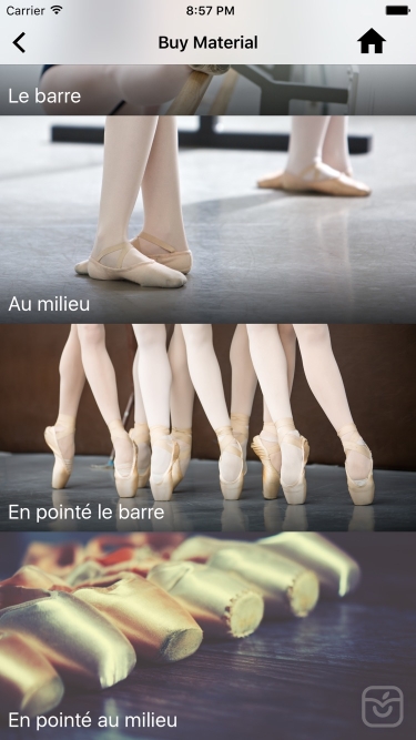 تصاویر Ballet Teacher Companion