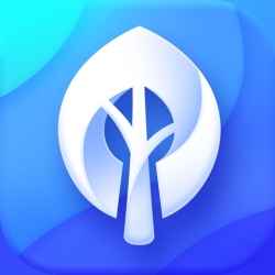 لوگو Wallpaper Tree: 4K Wallpapers