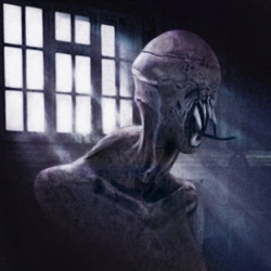 لوگو The Dark Pursuer