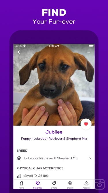 تصاویر Petfinder - Adopt a Pet