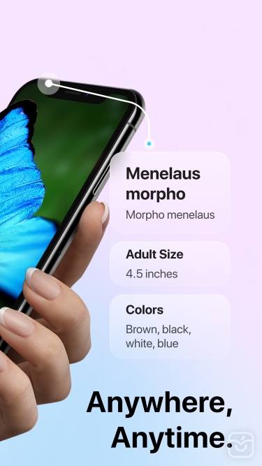 تصاویر Picture Insect: Bug Identifier ++