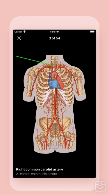 تصاویر Easy Anatomy 3D ++