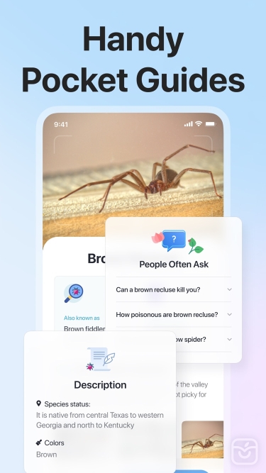 تصاویر Picture Insect: Bug Identifier ++