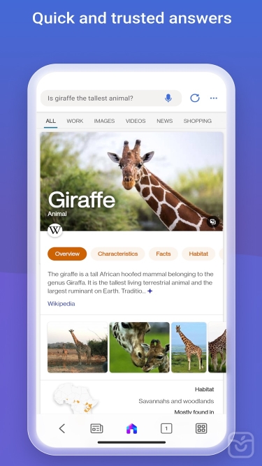 تصاویر Microsoft Bing Search