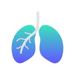 لوگو Smoke Free App: Quit Smoking ++