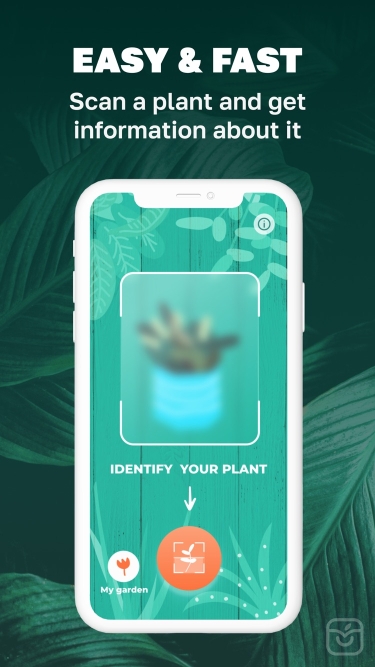 تصاویر Plant identifier flower & tree