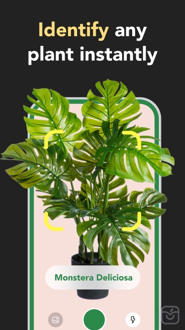 تصاویر Plant Care 360: AI Identifier ++