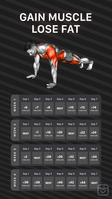 تصاویر Workouts by Muscle Booster
