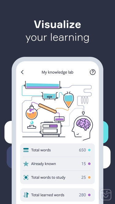تصاویر Lingvist: Learn Languages Fast ++