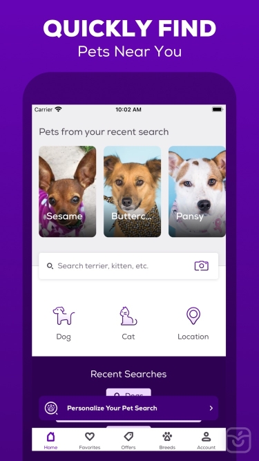 تصاویر Petfinder - Adopt a Pet