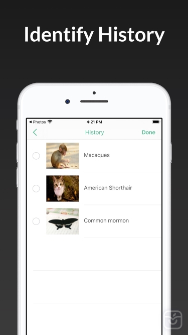 تصاویر ianimal - animal Identifier ++
