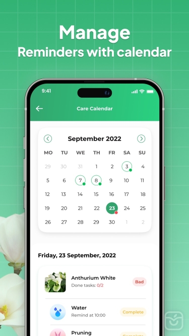 تصاویر LeafSnap-Plant Identification++