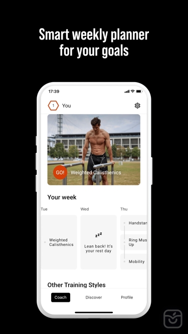 تصاویر DIE RINGE Calisthenics Workout