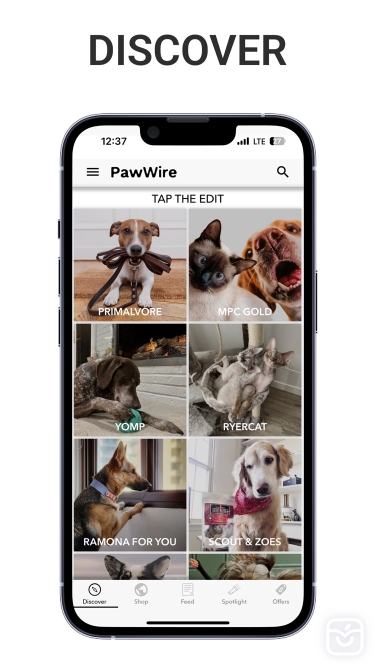 تصاویر PawWire | $1.99