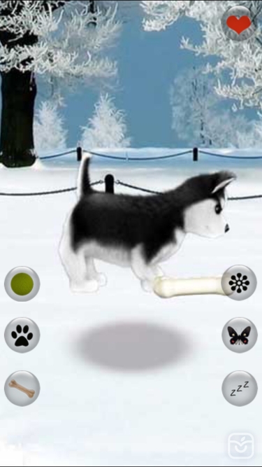 تصاویر Talking Dog Virtual Pet Husky