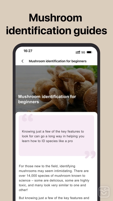 تصاویر Picture Mushroom: Fungi finder ++