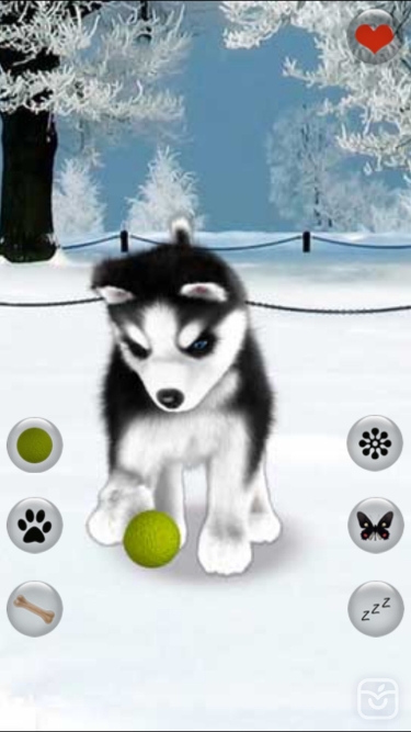 تصاویر Talking Dog Virtual Pet Husky