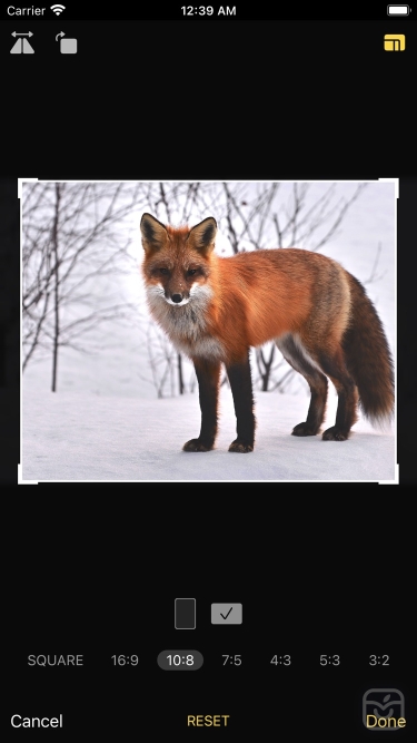 تصاویر Luca - Photo Editor & Filters ++