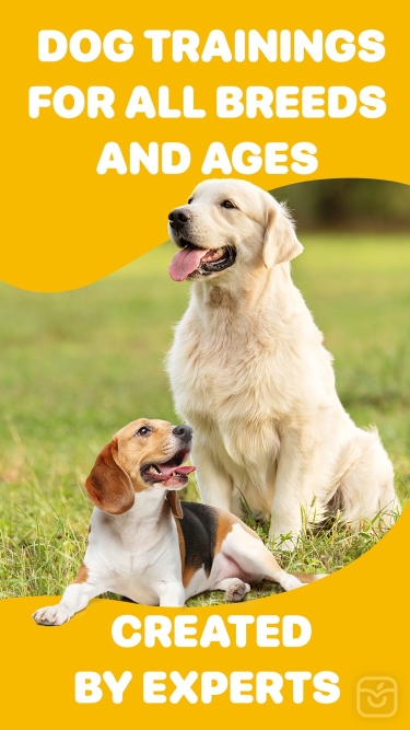 تصاویر Woofz: Dog Training