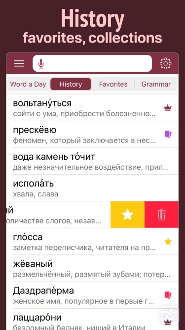 تصاویر Russian Dictionary Wiki Word ++