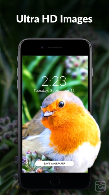 تصاویر Wallpaper Tree: 4K Wallpapers