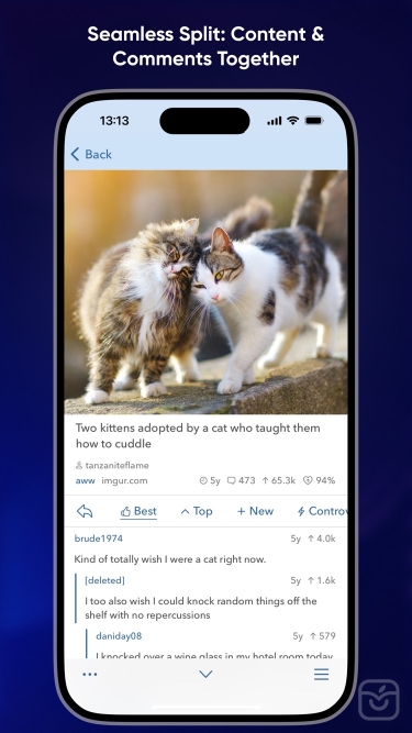 تصاویر Narwhal 2 for Reddit ++