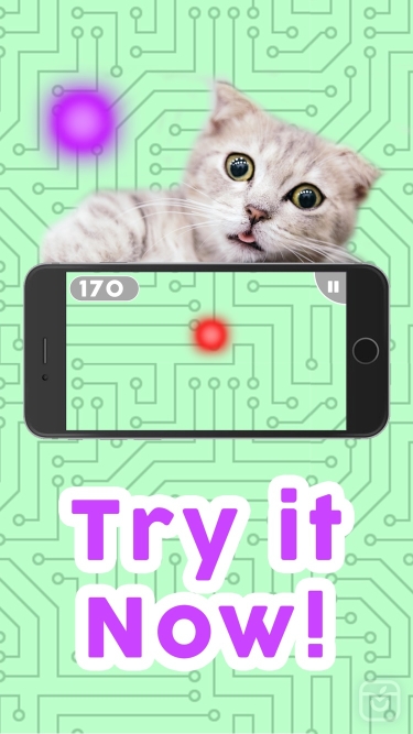 تصاویر Games for Cats!