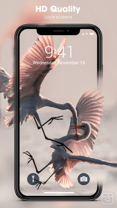 تصاویر Live Wallpapers for iPhone.