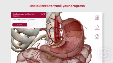 تصاویر Anatomy & Physiology