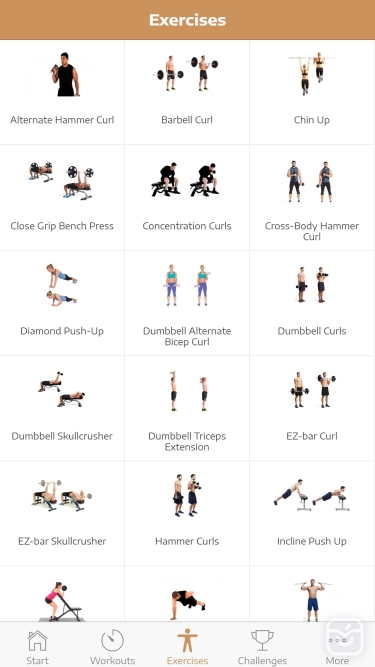 تصاویر Huge Arms Workout Guide